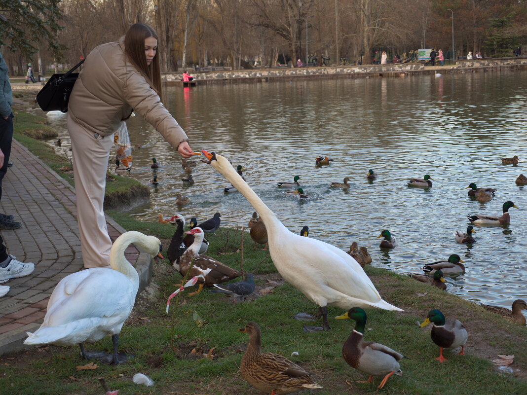 Птичий вечер ))) - Всеволод Птичий вечер ))) - Всеволод