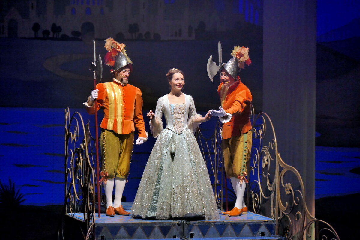 Прекрасная незнакомка - Валерий Судачок