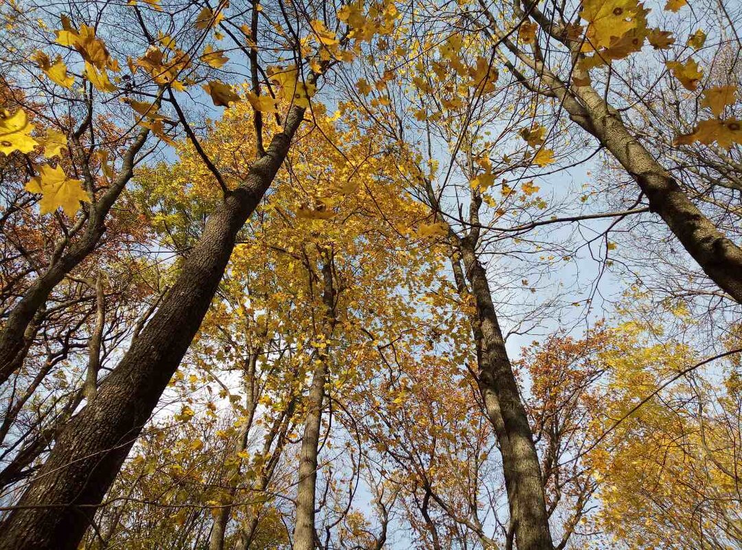 ,,,, - Сергей Тимоновский