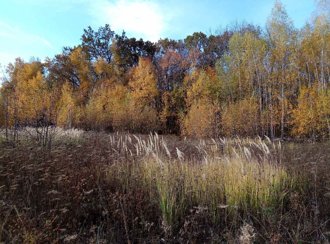 ,,,, - Сергей Тимоновский