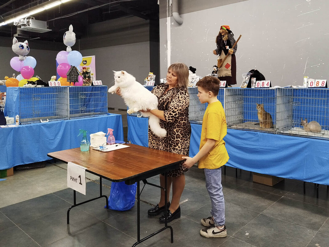 ГАГАРИНСКИЕ_КОШКИ_8 - Сергей Янович Микк ГАГАРИНСКИЕ_КОШКИ_8 - Сергей Янович Микк