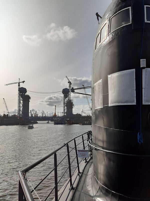 В музее Мирового океана - Галина Минчук В музее Мирового океана - Галина Минчук