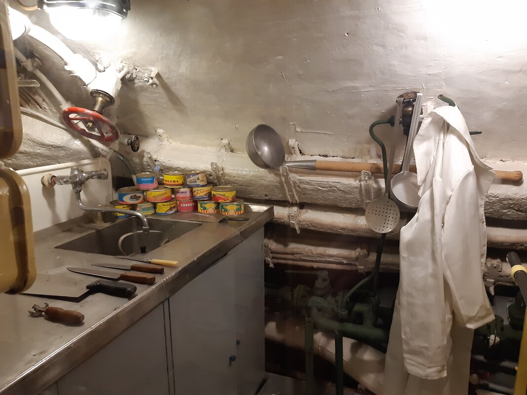 В музее Мирового океана - Галина Минчук В музее Мирового океана - Галина Минчук