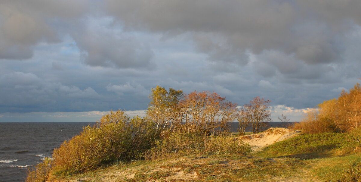 Весенний вечер - Августина 