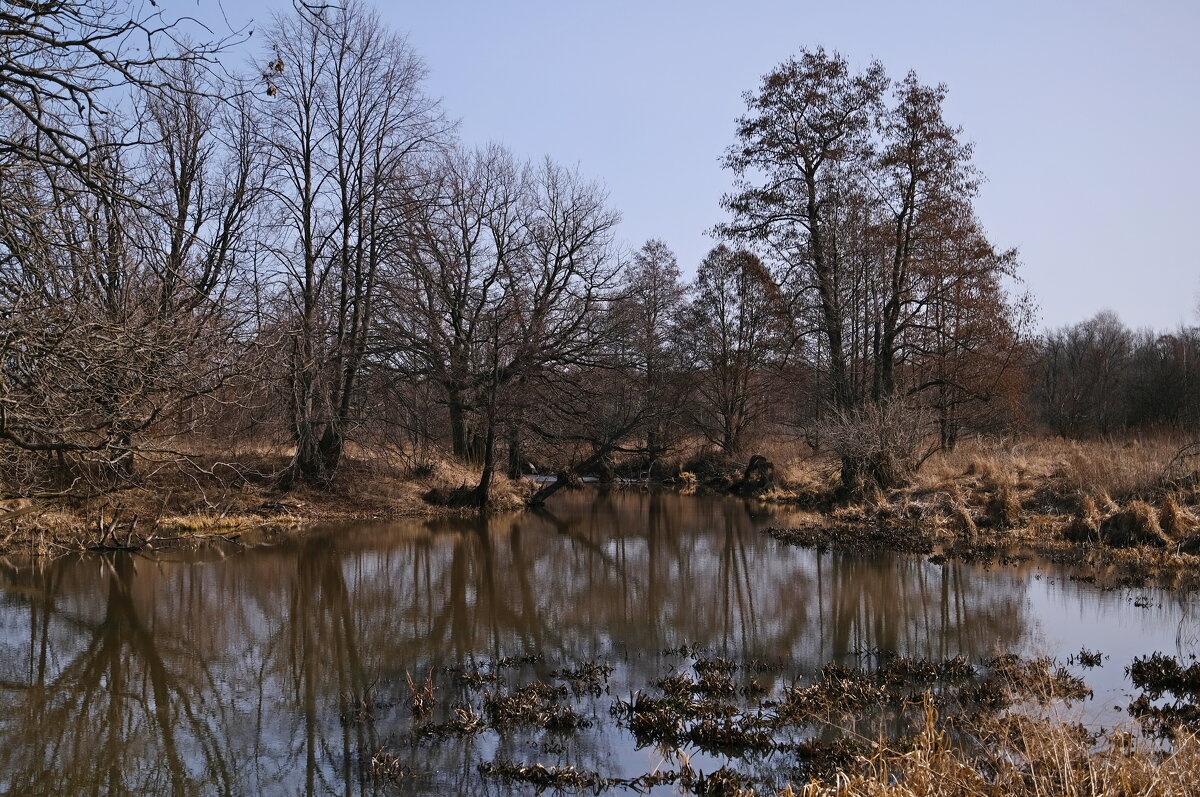 На пороге весны... - Андрей Зайцев На пороге весны... - Андрей Зайцев