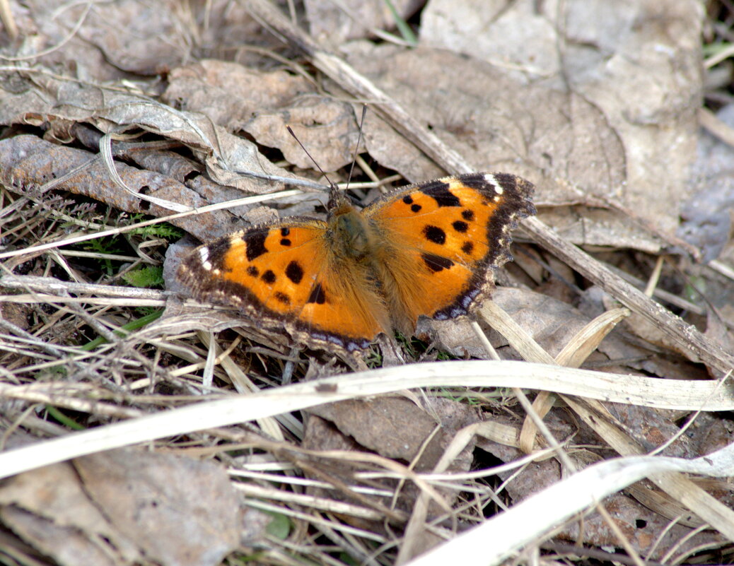 проснулись.... - Сергей Владимирович Егоров