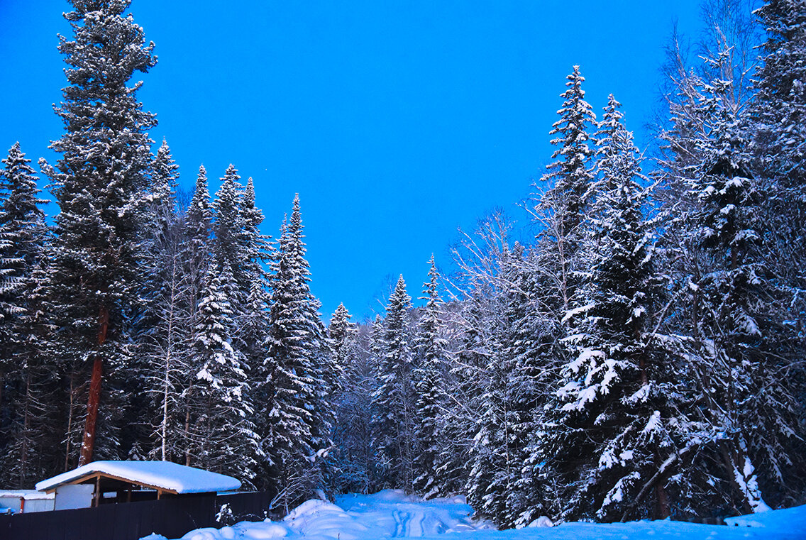 Первые солнечные лучи. - юрий Амосов Первые солнечные лучи. - юрий Амосов