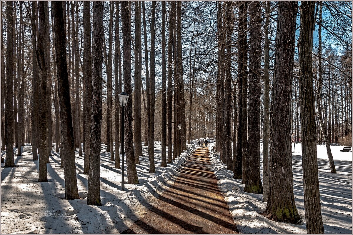 Последние дни марта - Aquarius - Сергей Последние дни марта - Aquarius - Сергей