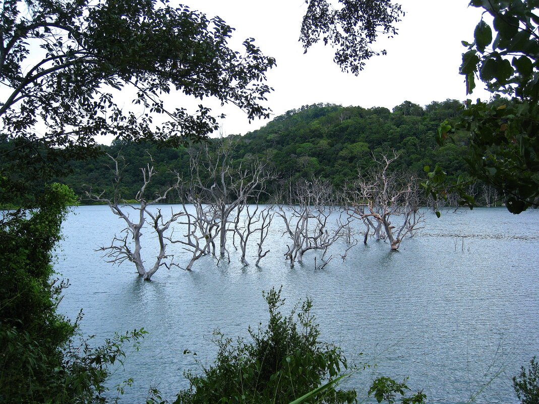 Озеро Аликота Ара, Шри-Ланка. - unix (Илья Утропов)