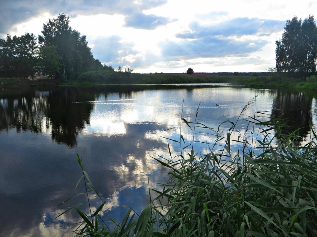 природа - марта Камушкина природа - марта Камушкина