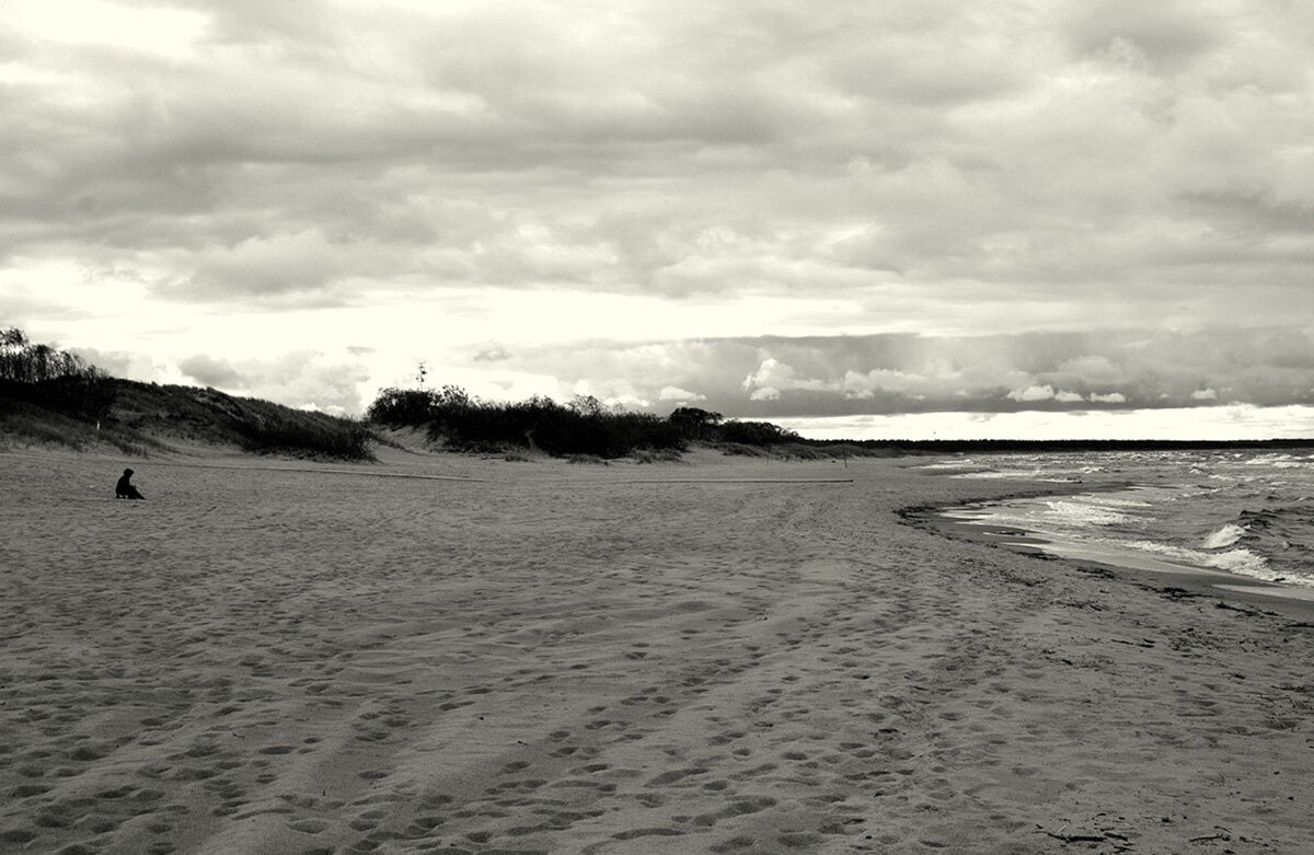 *** - Aleksandr Gal *** - Aleksandr Gal