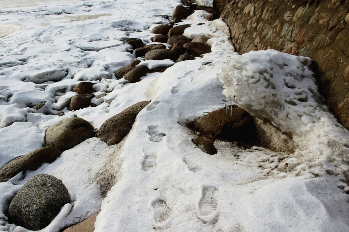 Следы - Наталья Герасимова