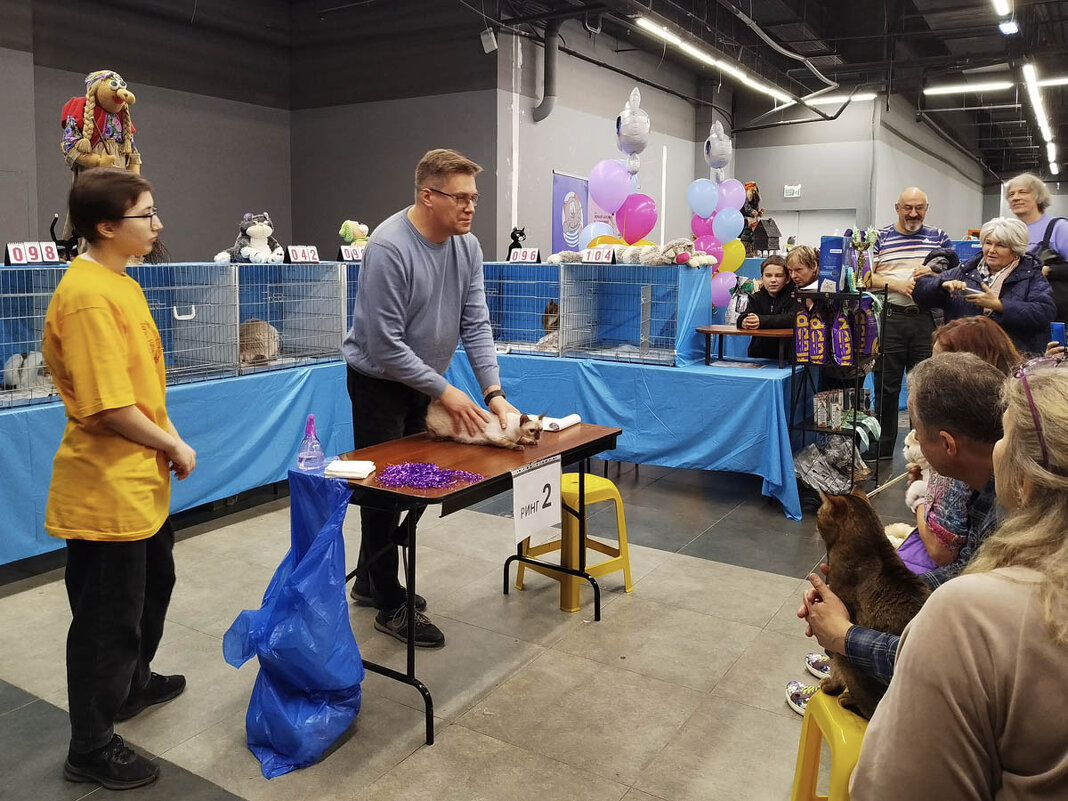 ГАГАРИНСКИЕ_КОШКИ_11 - Сергей Янович Микк ГАГАРИНСКИЕ_КОШКИ_11 - Сергей Янович Микк