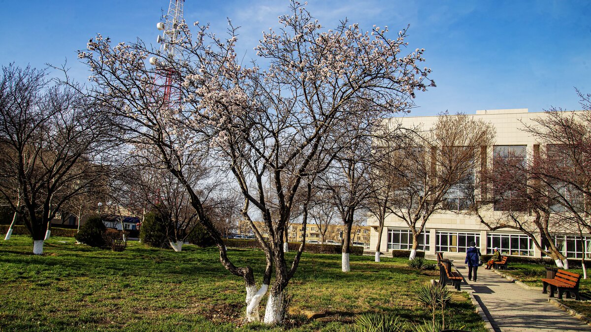 Весна - Анатолий Чикчирный