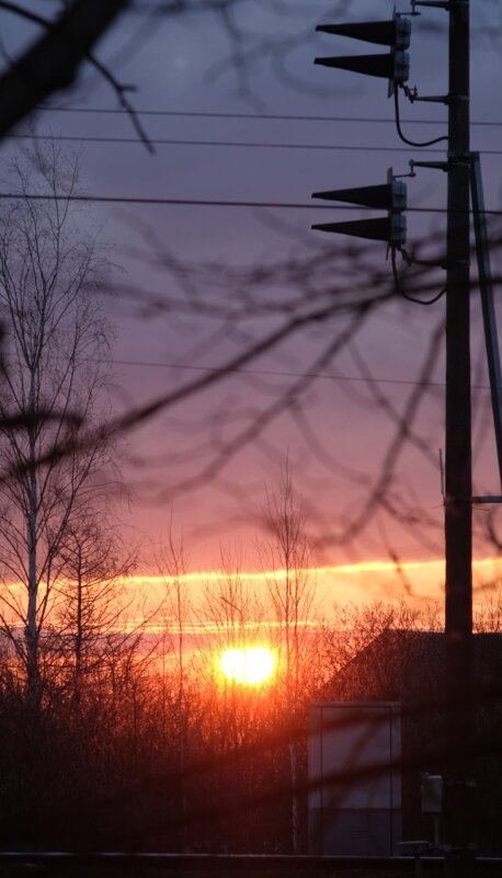 Пурпурно-золотой рассвет - Олег Зоркий