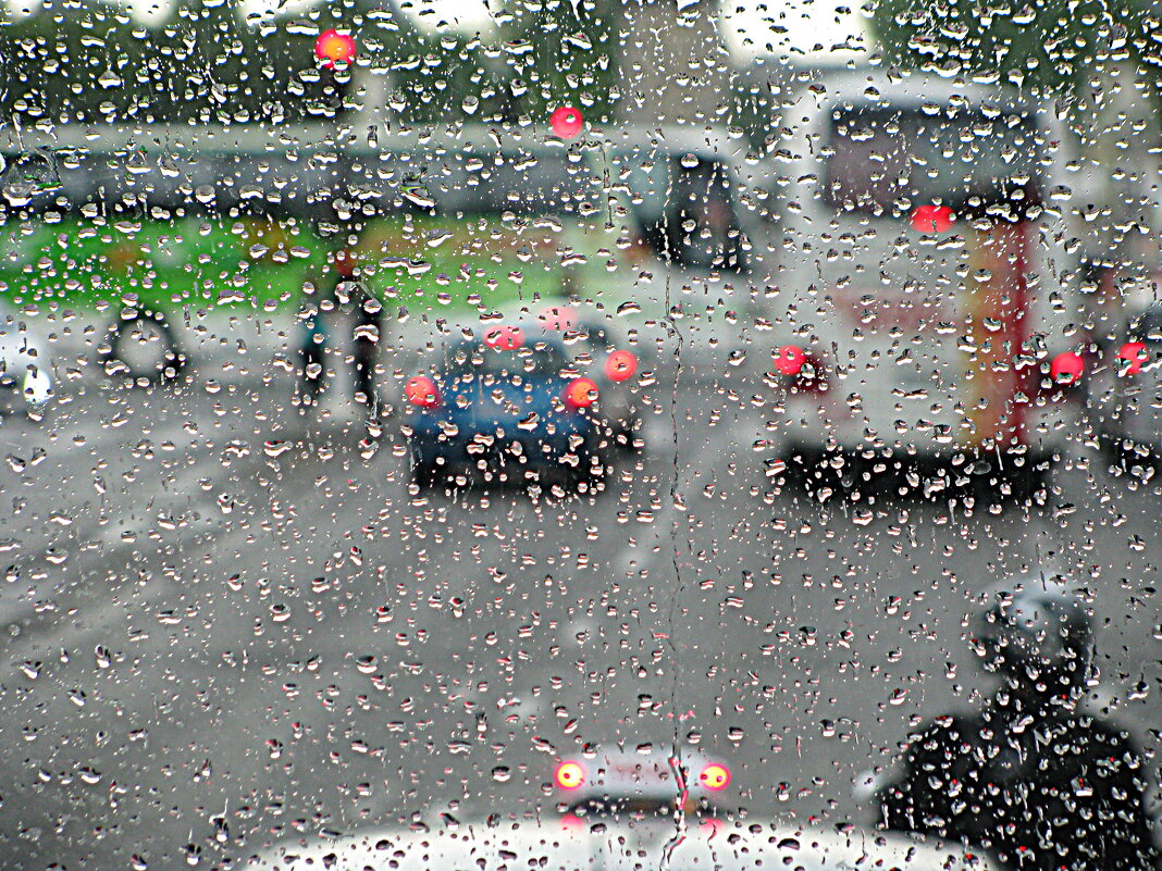 Париж. - Владимир Драгунский