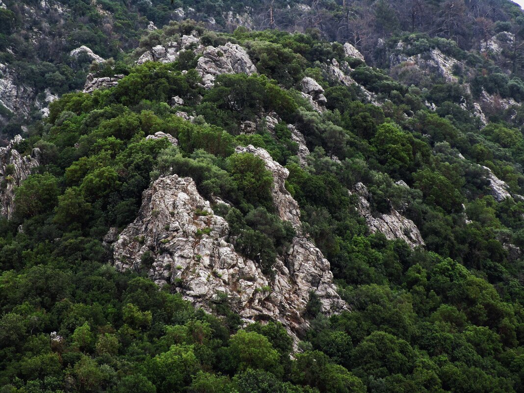 Турция - Елена Шаламова