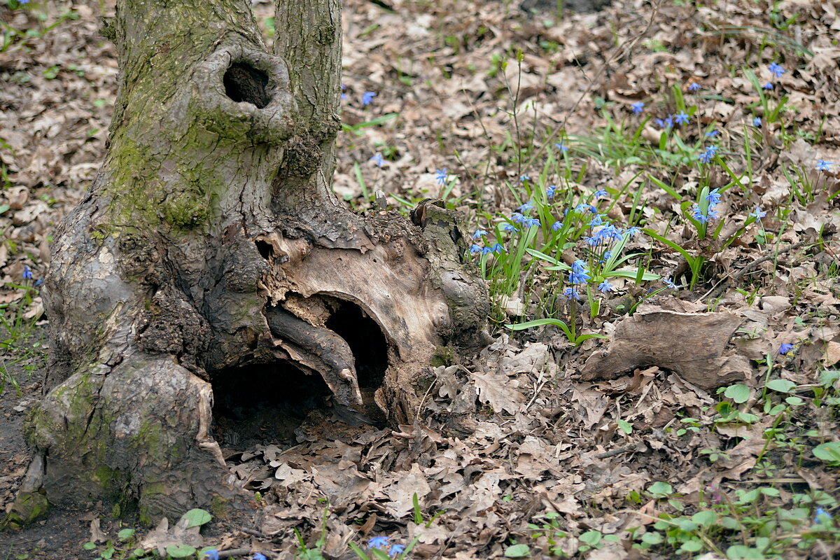 Страшно - красиво - Сеня Белгородский Страшно - красиво - Сеня Белгородский