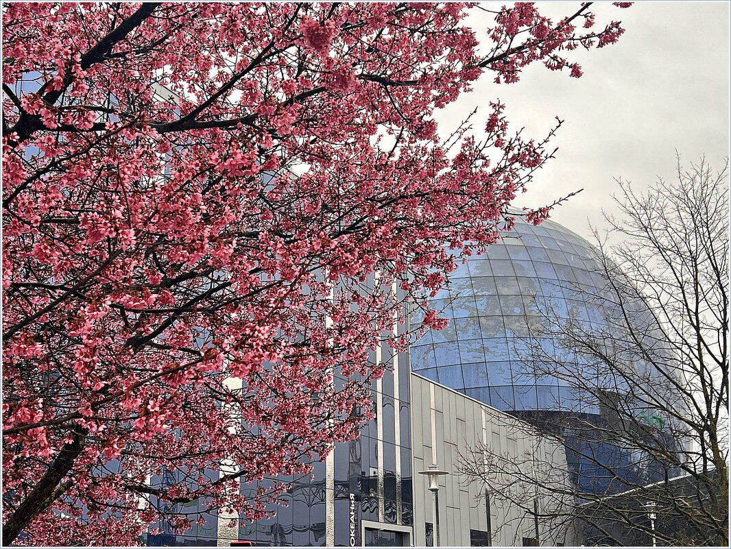 Весенний этюд. - Валерия Комова Весенний этюд. - Валерия Комова