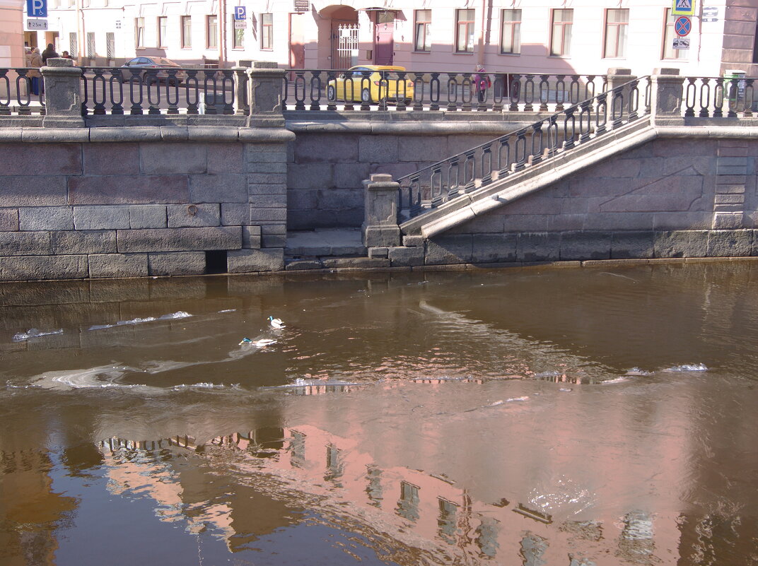 Канал ГРИБОЕДОВА - Виктор Никитенко