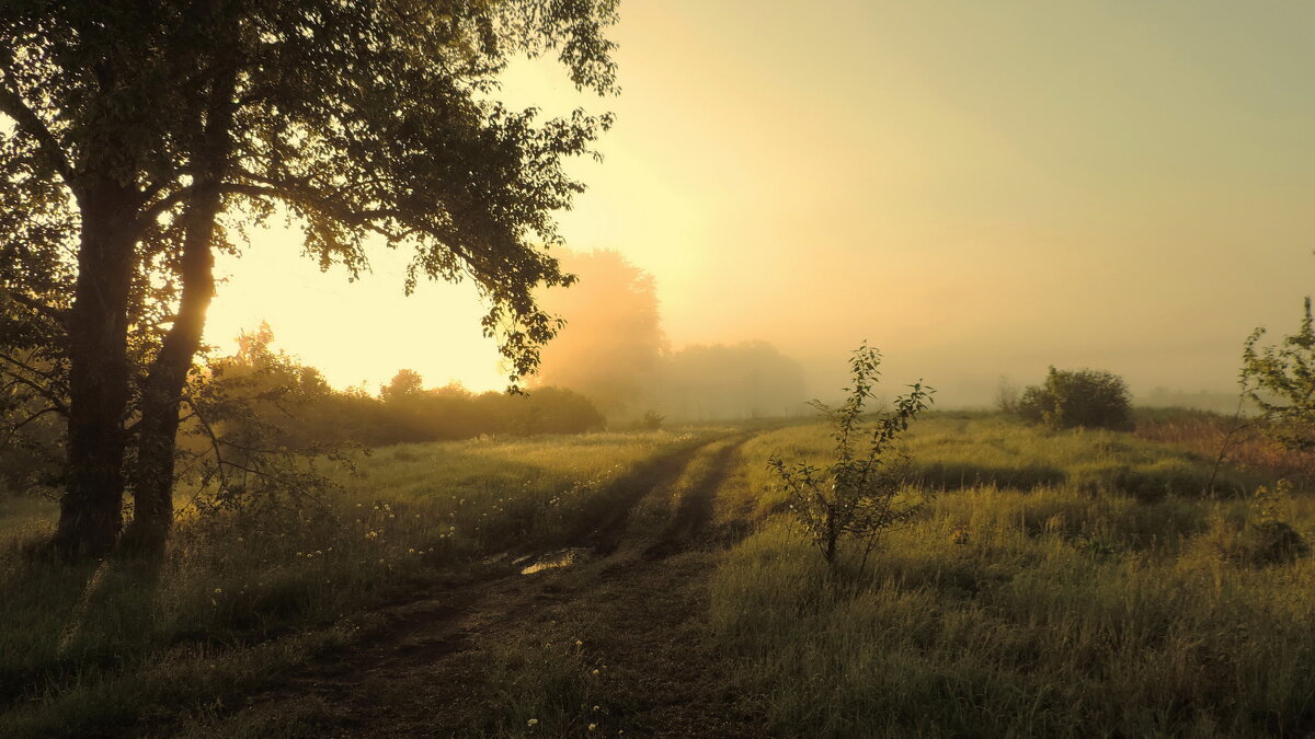Майский туман. - Татьяна Нефедьева. Майский туман. - Татьяна Нефедьева.