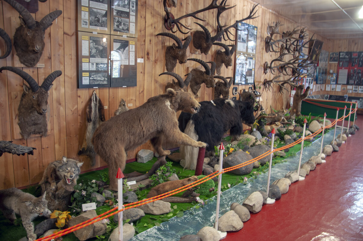 Тегенекли. В альпинистском музее - Gen 