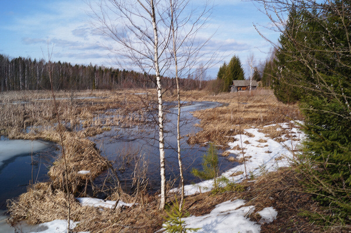 Весенние воды - Сергей Ц Весенние воды - Сергей Ц