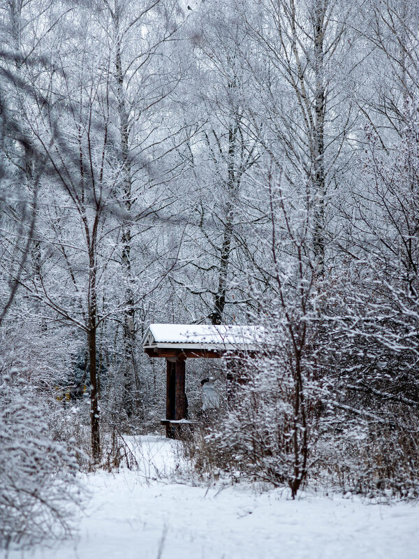 Беседка в парке - Виктор Скаков Беседка в парке - Виктор Скаков