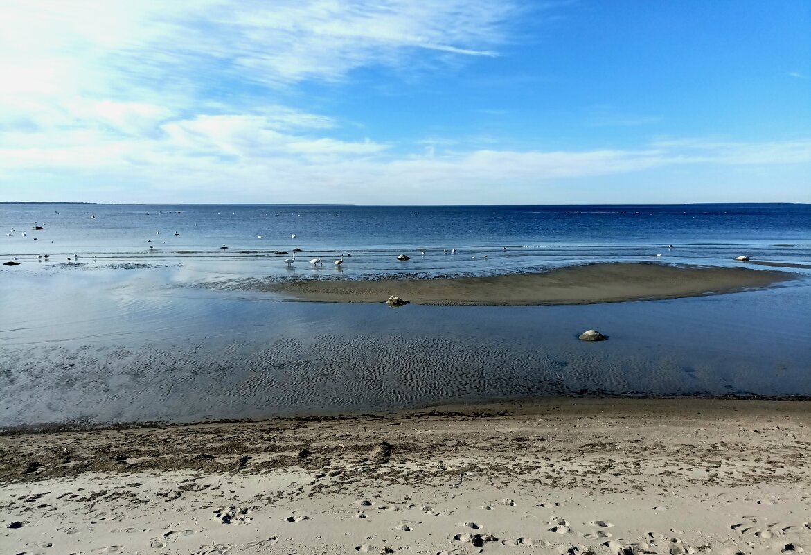 На берегу залива - Veera V