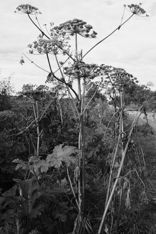 Название отсутствует - Денис Безногов Название отсутствует - Денис Безногов