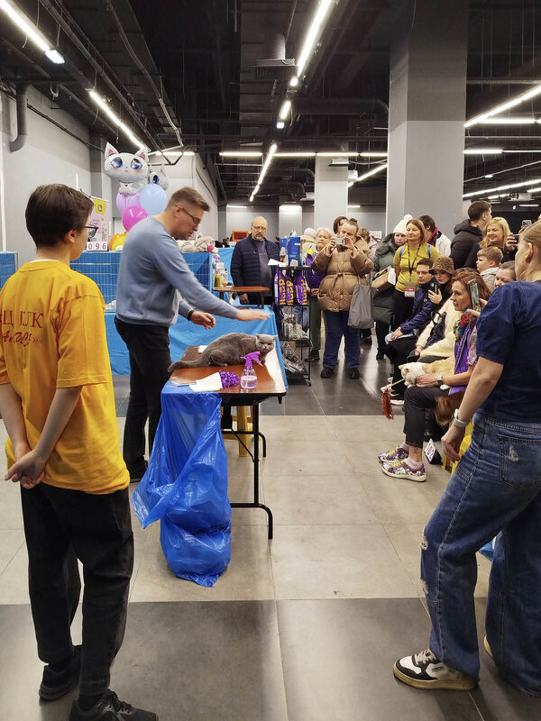 ГАГАРИНСКИЕ_КОШКИ_18 - Сергей Янович Микк ГАГАРИНСКИЕ_КОШКИ_18 - Сергей Янович Микк