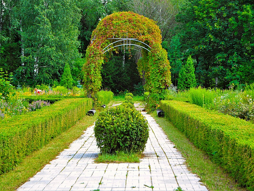 Чебоксары. Ботанический сад летом. - Пётр Чернега