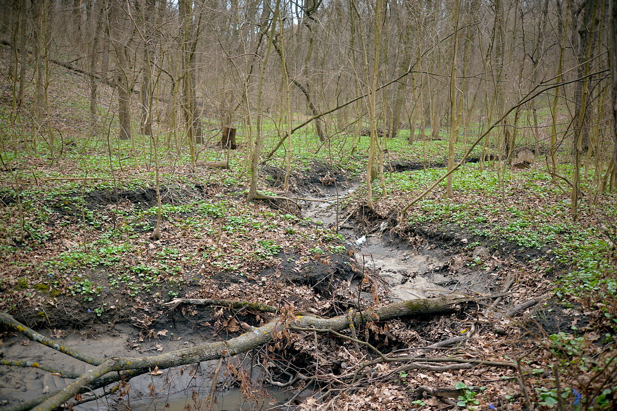 После таяния снега - Сеня Белгородский