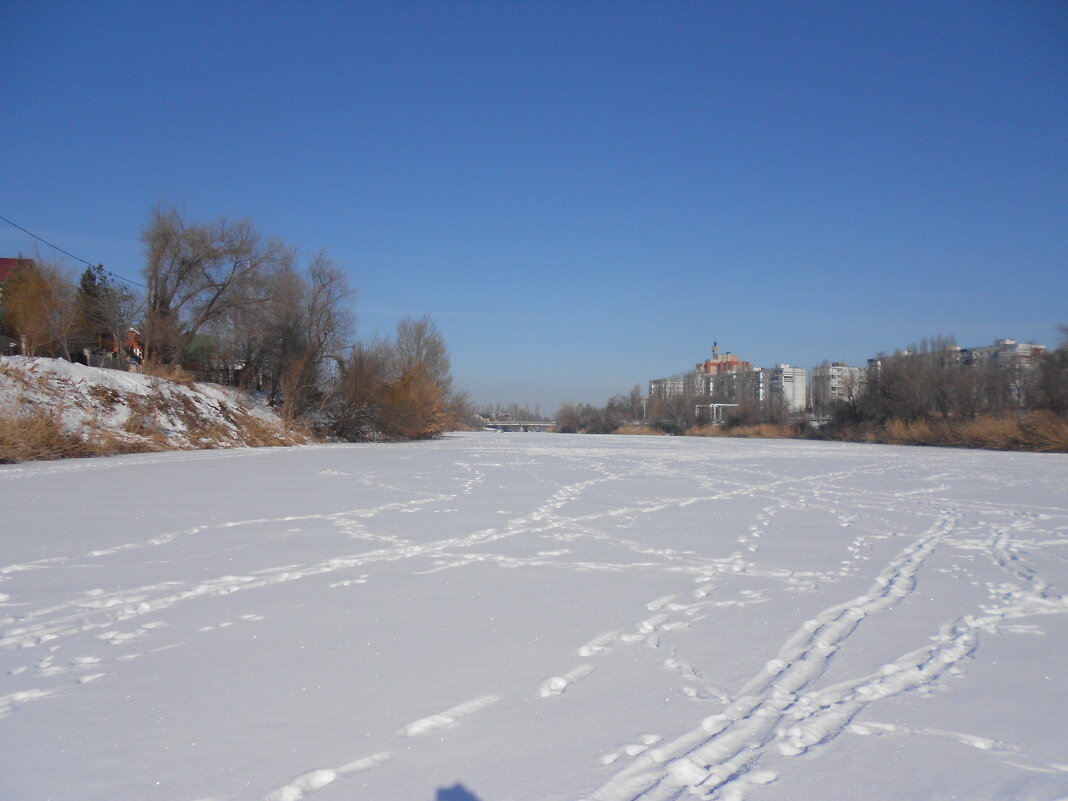февраль - Елена Шаламова