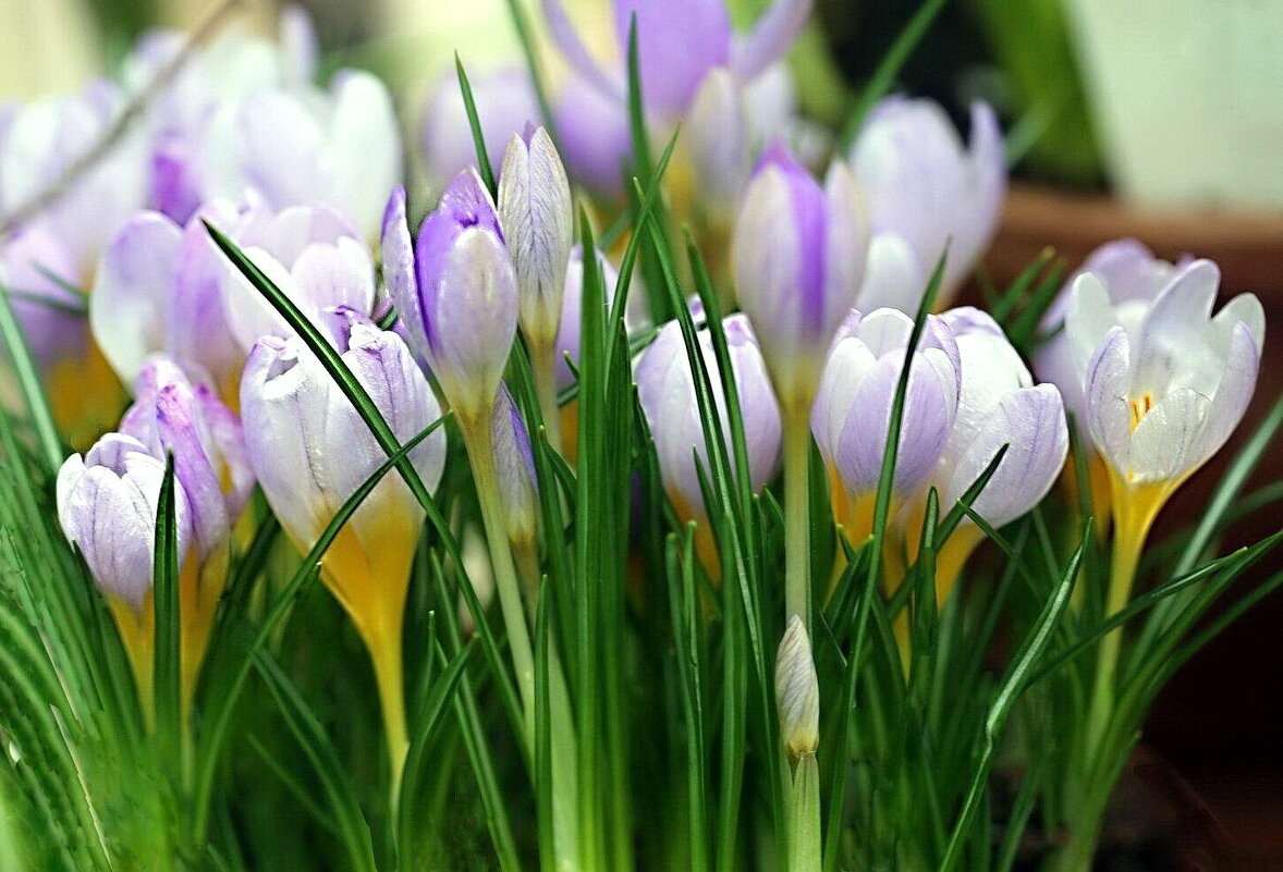 С 1 Апреля! - ZNatasha -