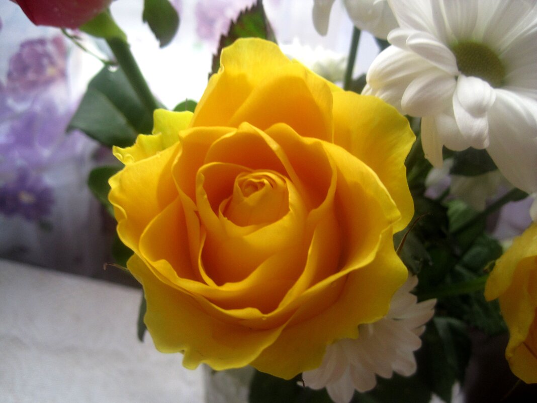 Cолнечная - Елена Семигина