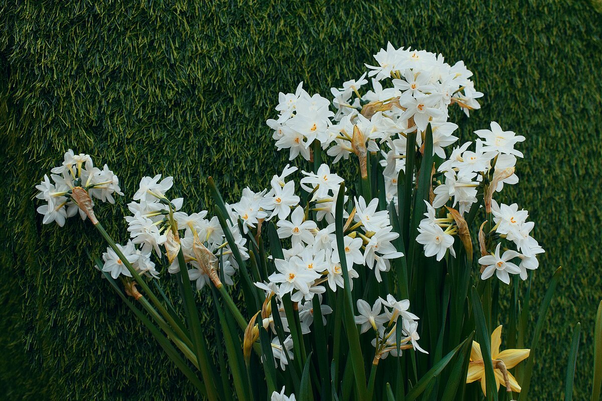 Счастливого апреля! - Татьяна Помогалова Счастливого апреля! - Татьяна Помогалова