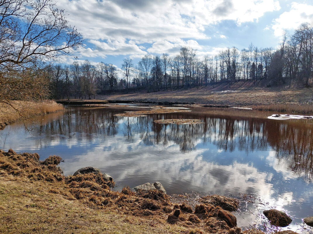 В Павловском парке - Ирина Румянцева
