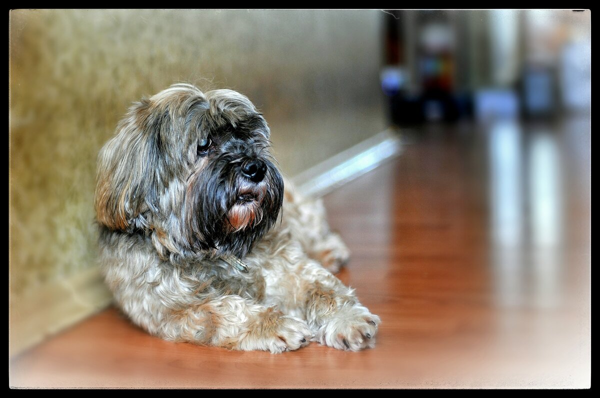 ***** - Руслан 