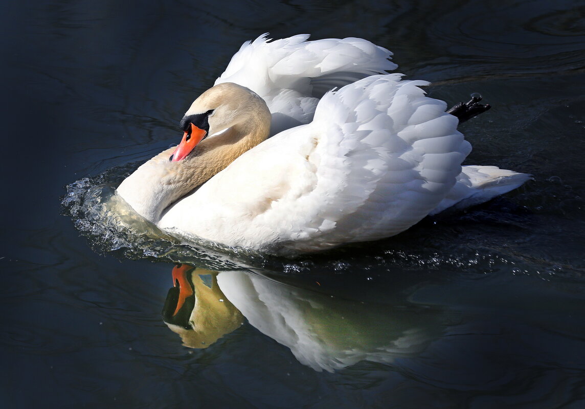 31 марта - Михаил Бибичков 31 марта - Михаил Бибичков