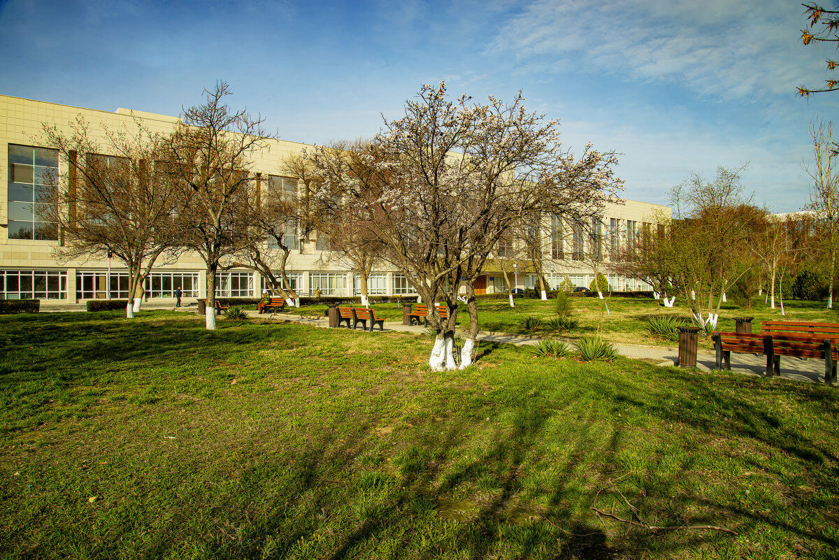 Весна - Анатолий Чикчирный