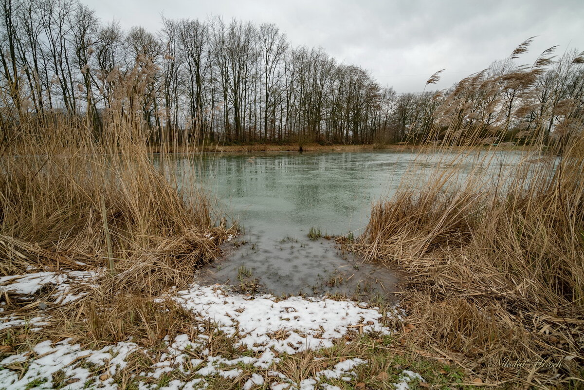 *** - Николай Гирш *** - Николай Гирш