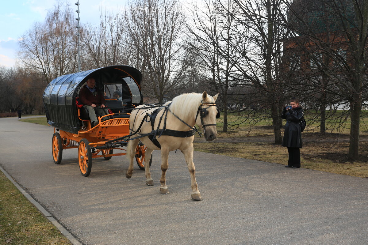 В Коломенском - Ninell Nikitina