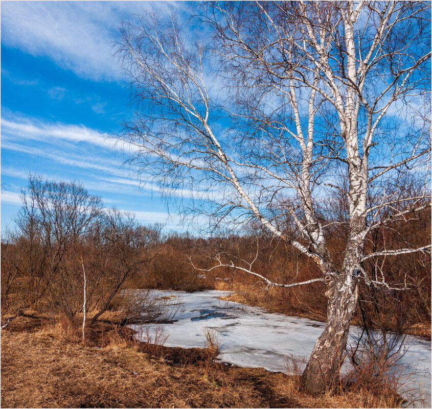 Весеннее настроение,душа поёт... - Алексей Мезенцев Весеннее настроение,душа поёт... - Алексей Мезенцев