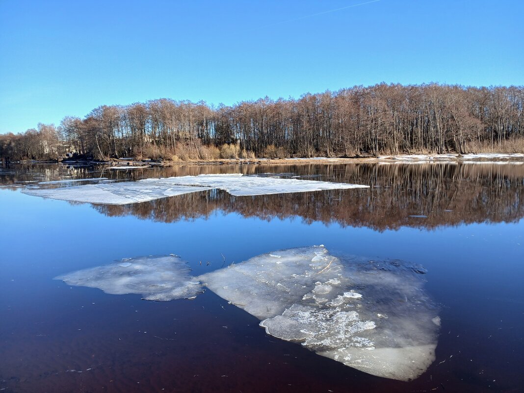 Приятная картина в конце марта. - Лия ☼
