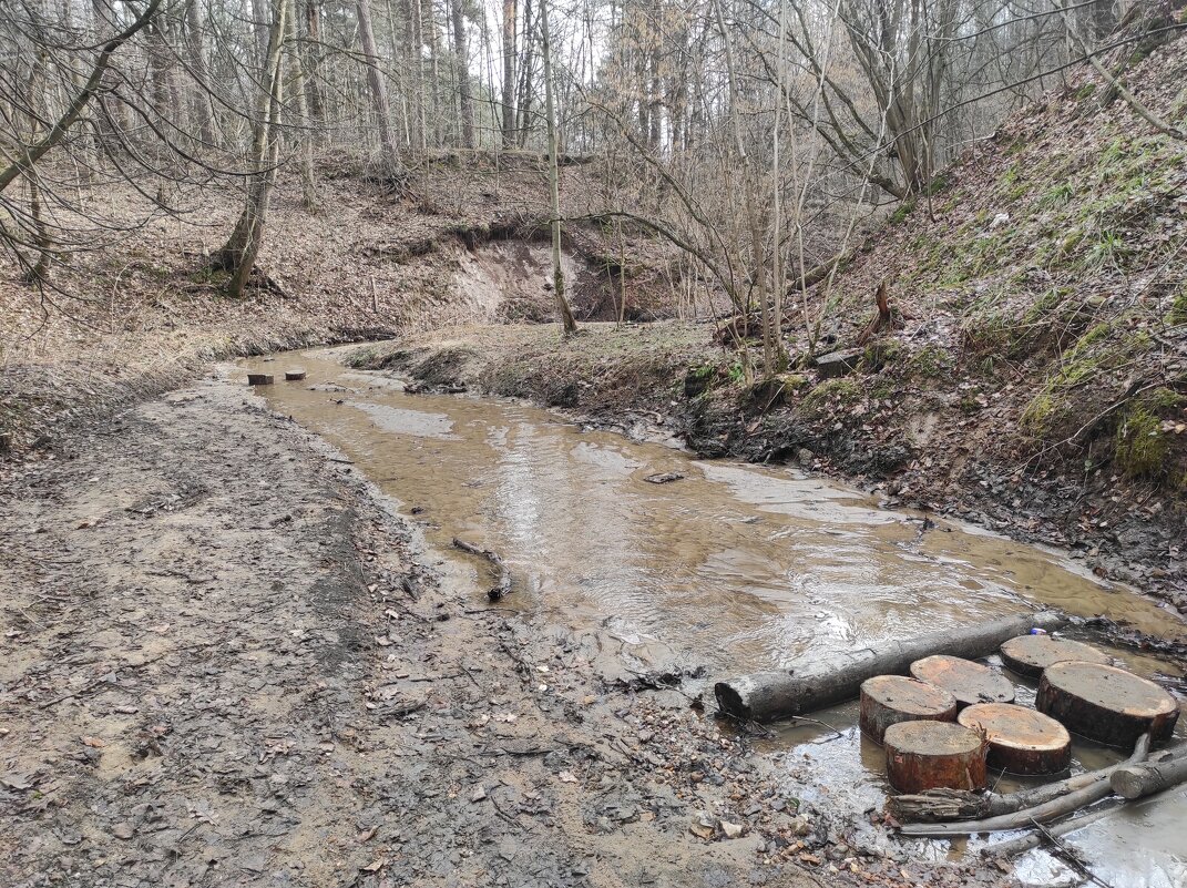 Река Городня - Игорь Ч. Река Городня - Игорь Ч.