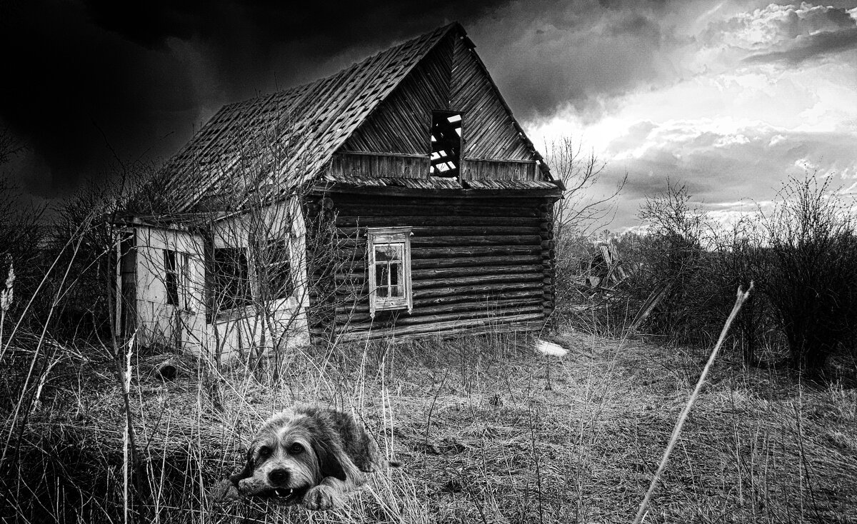 Верный сторож - Валерий Кролик Верный сторож - Валерий Кролик