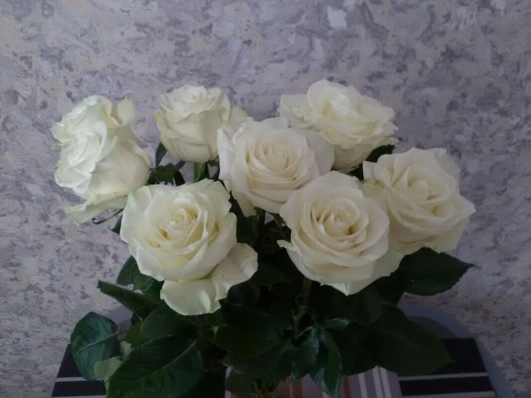 Белые розы для души - Надежда 