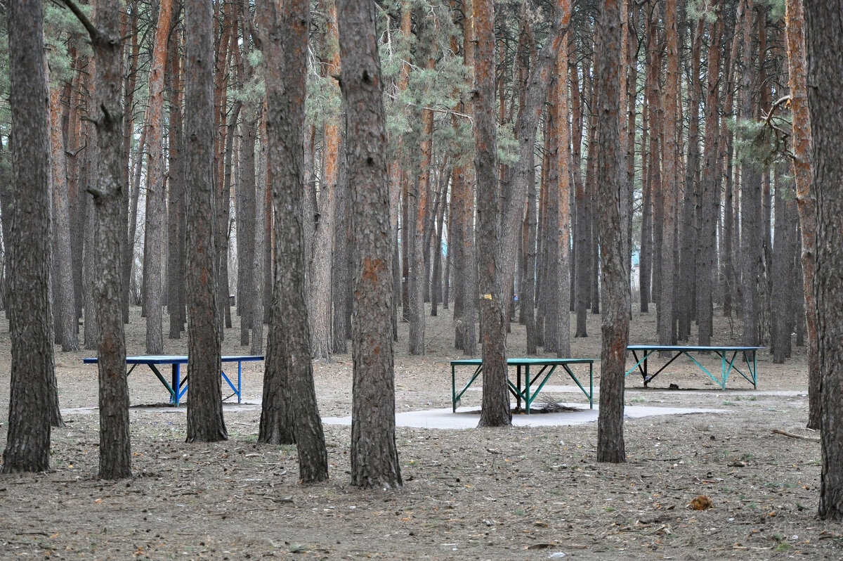 До свидания, Март - Татьяна Машошина