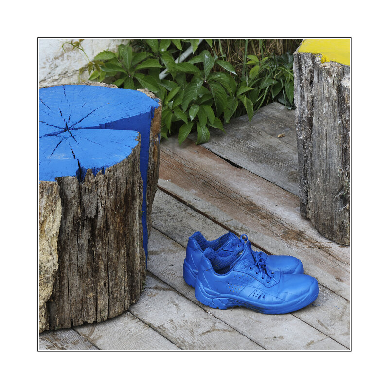 туфли - . vvv .